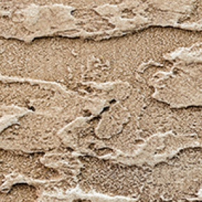 ������ "���� ����" - Rustic